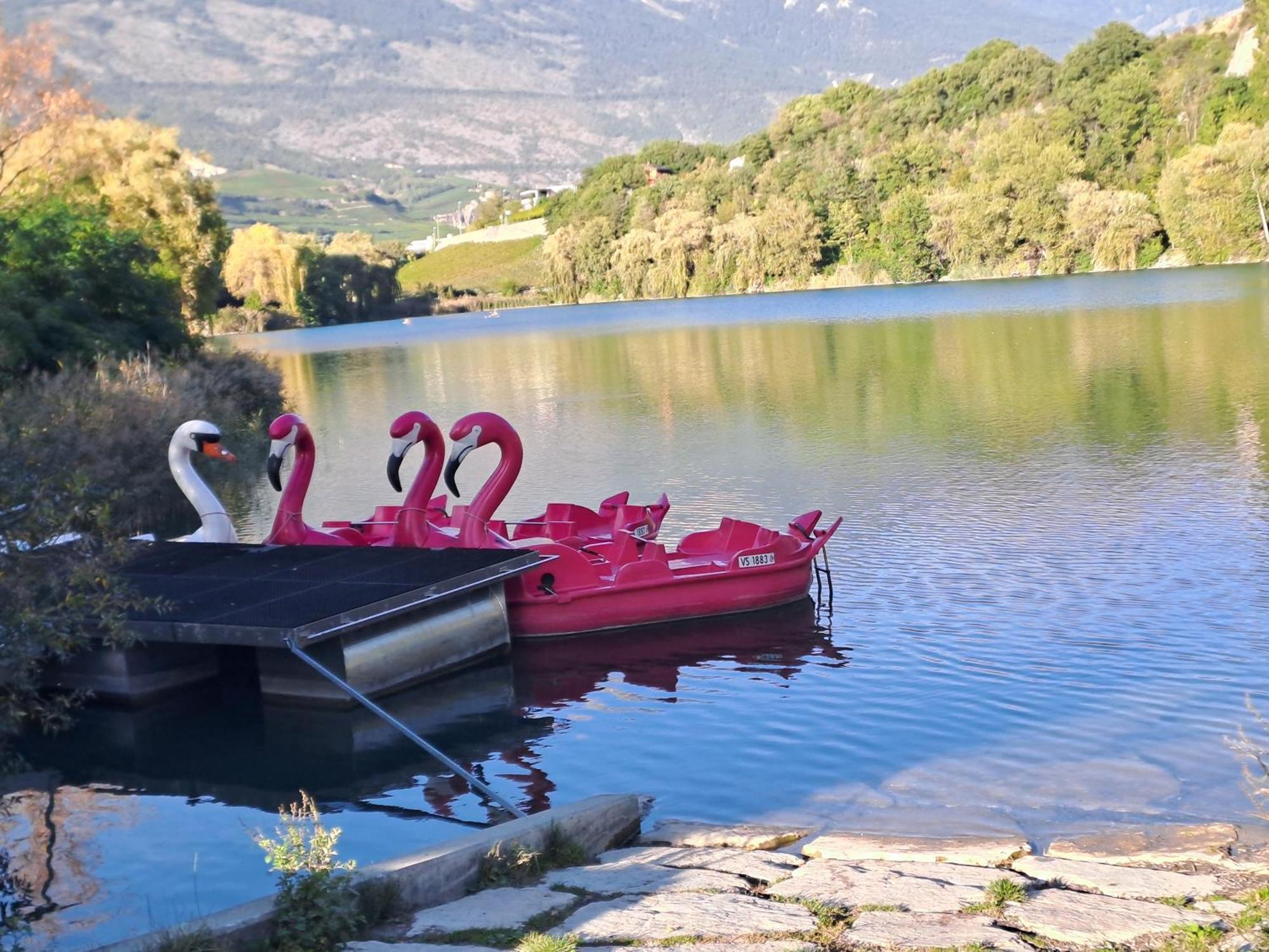 Vacances En Tout Tranquillite A Vercorin Bagian luar foto